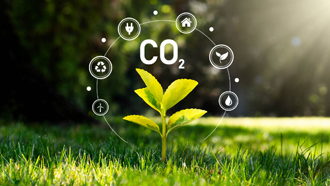 Pflanze mit grafischer Hervorhebung zu CO2